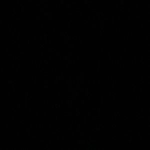 Meet your Posher, Leola